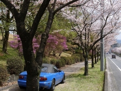 リコーCX3　初撮り♪