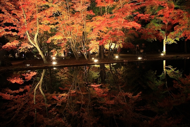 曽木公園 水面に映る紅葉♪