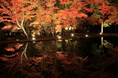 曽木公園 水面に映る紅葉♪