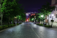 函館　　八幡坂の夜景♪
