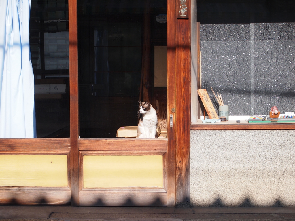 店番だにゃん。