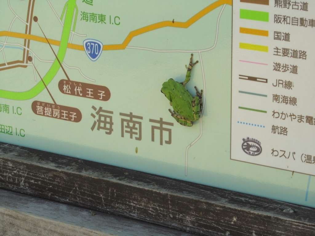 周辺地図にカエルさん。