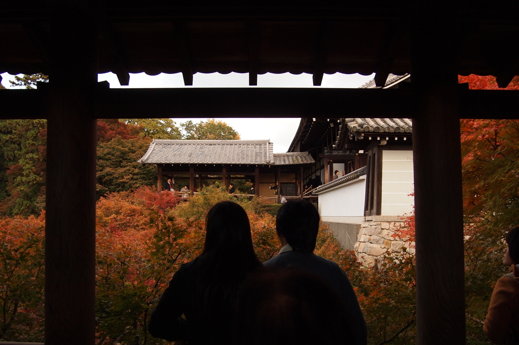 二人で眺める京の秋。