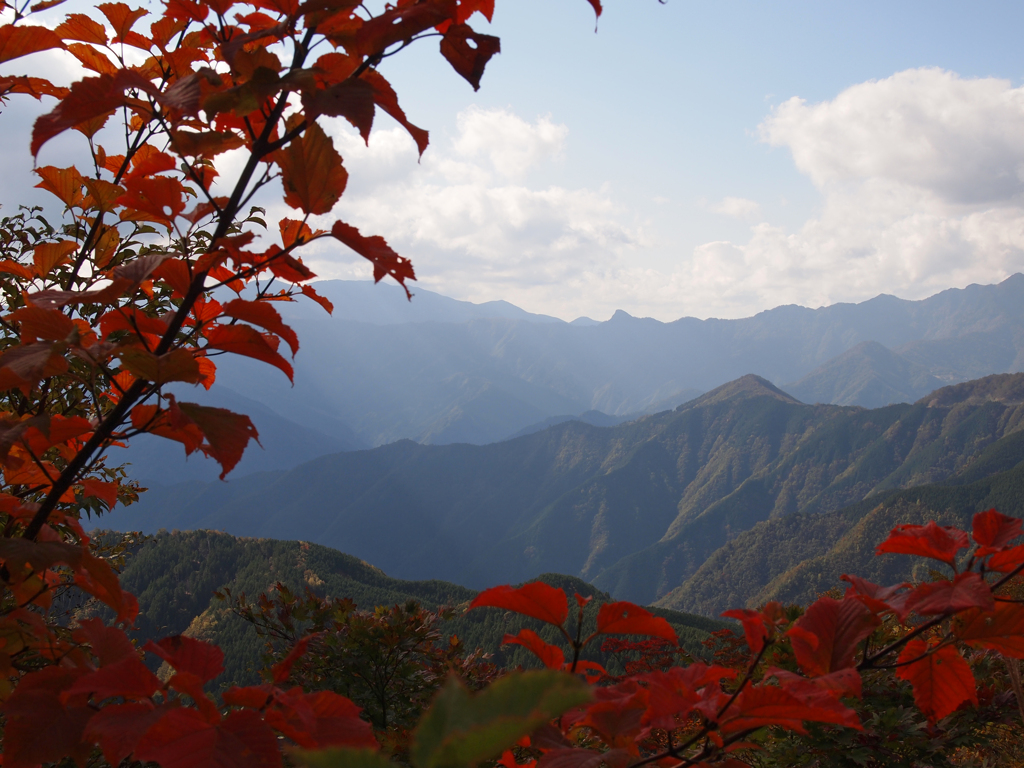 色づく葉と山脈。