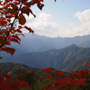 色づく葉と山脈。