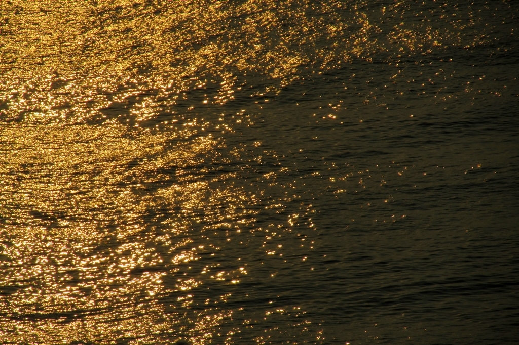 金色の水面。