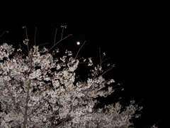 月と桜。