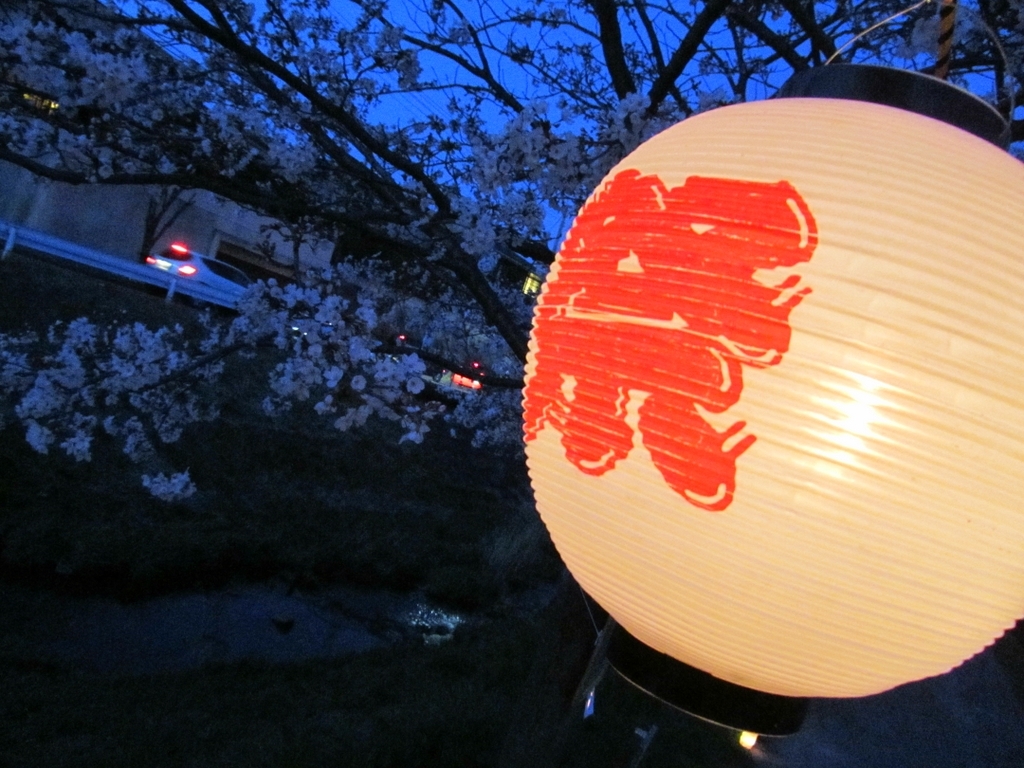 夜桜まつり。