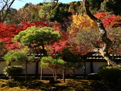 福寿院からの眺め。