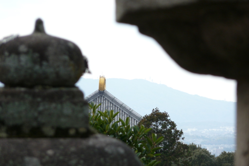 隙間から大仏殿。