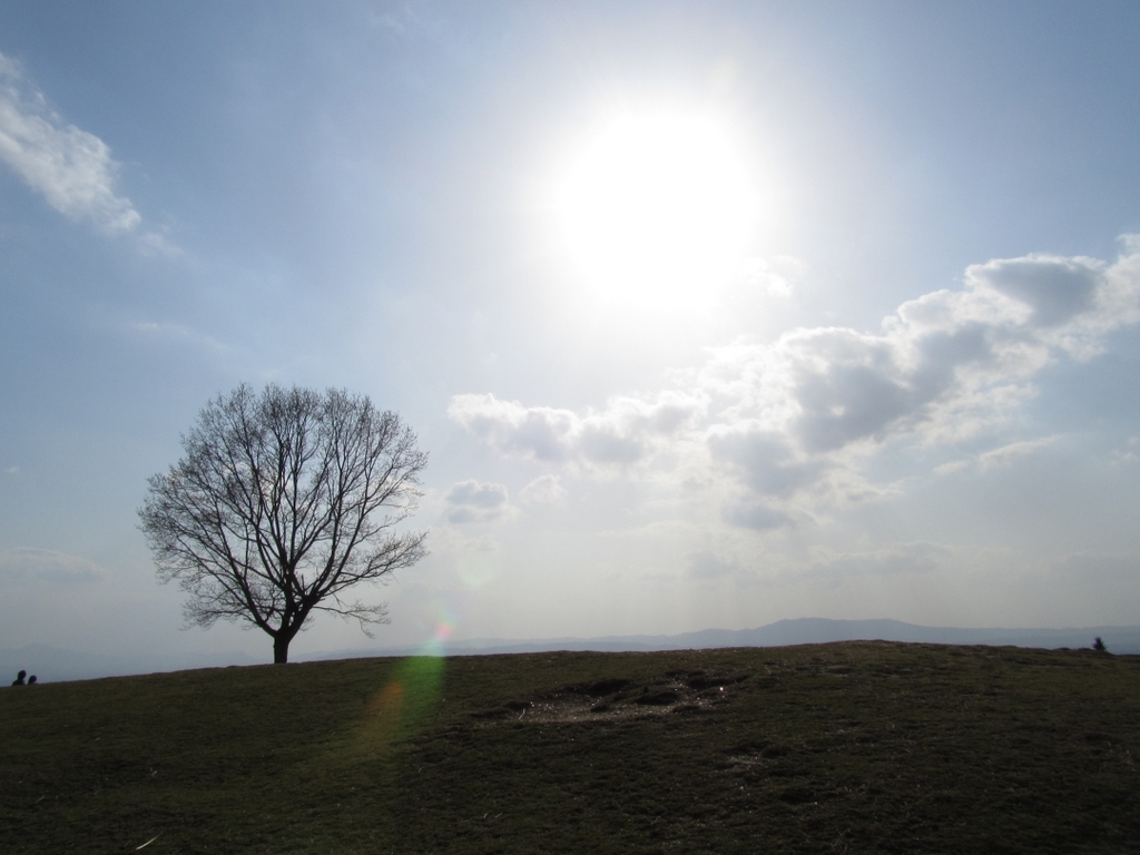 天気イイけど風が・・・