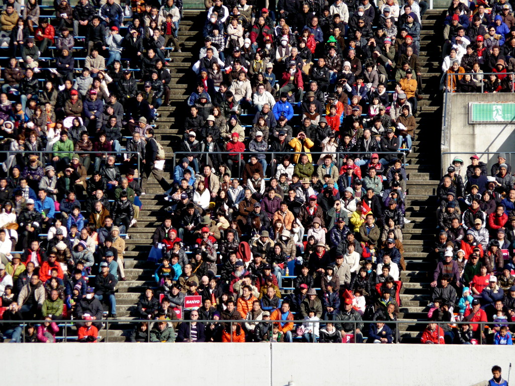 colorful spectators