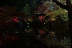 さざ波の鏡
