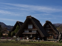 合掌作りの集落