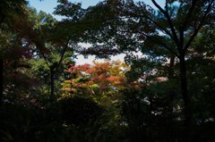 グラデーション