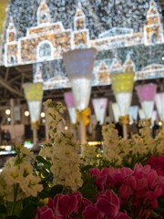 イルミの元で
