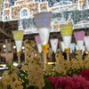 イルミの元で