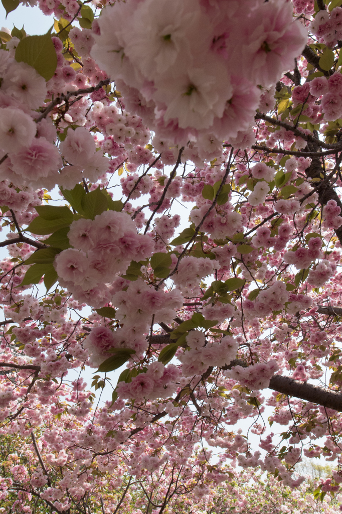 みんなこっち見てる？