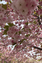 みんなこっち見てる？