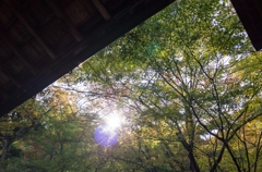 常寂光寺の午後