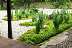 源氏物語、執筆地