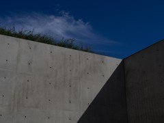 空と緑とコンクリート