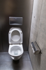 巨大な流すボタン