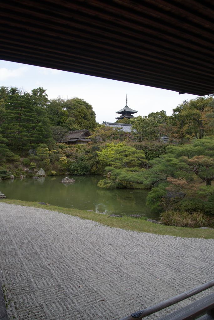 仁和寺にて