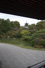 仁和寺にて