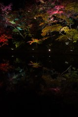 臥龍池にて