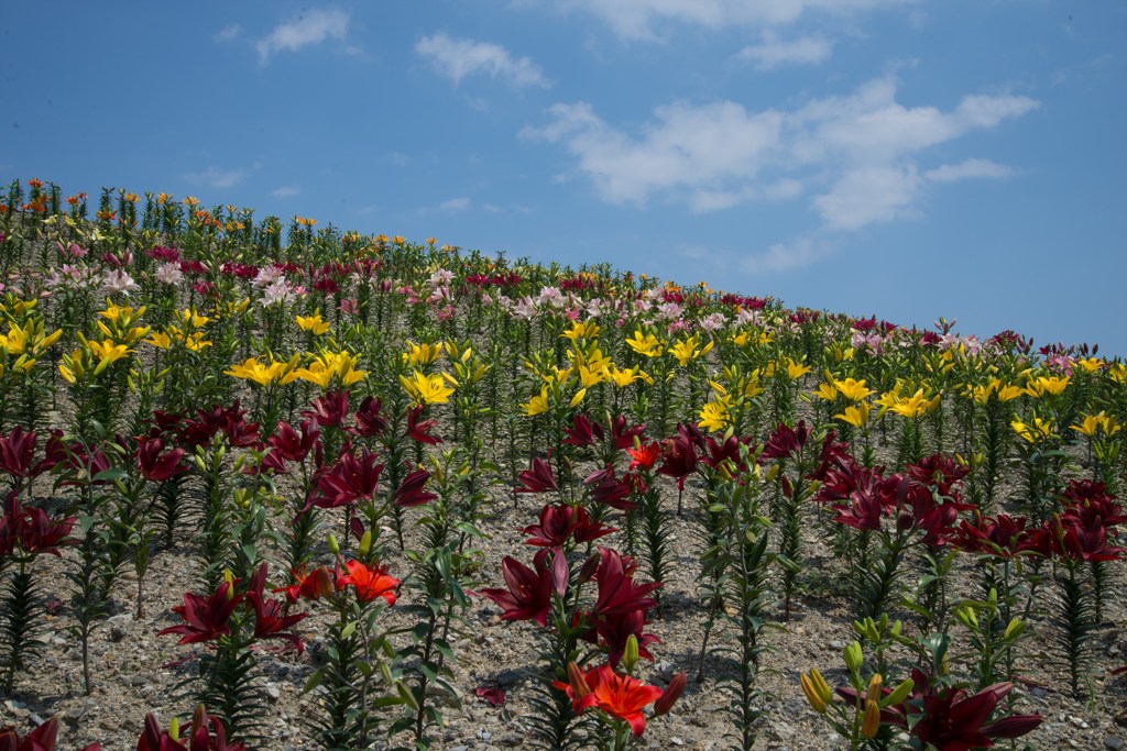 雨降らないかなぁ、、、