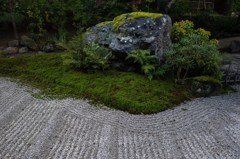 宝厳院の庭にて