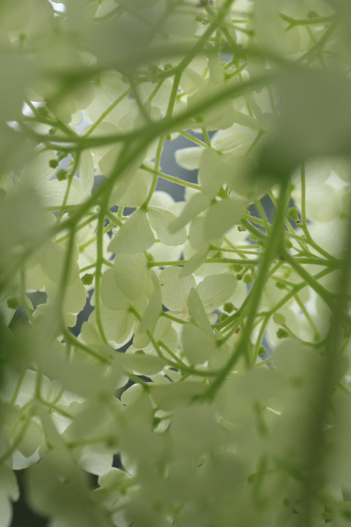 下から失礼します