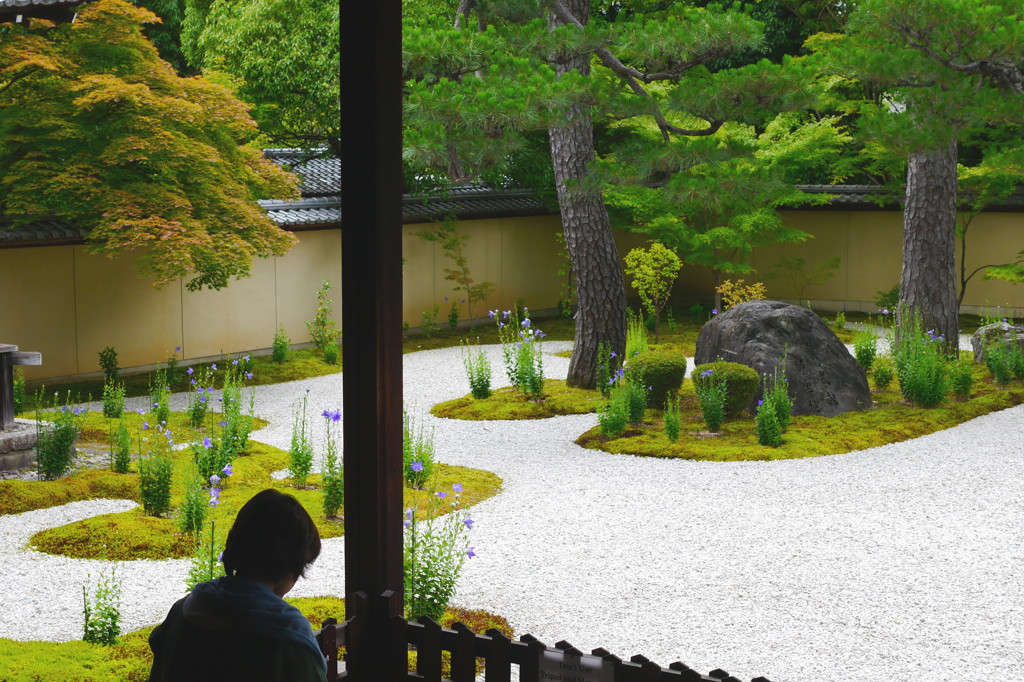 雅、、桔梗の平庭