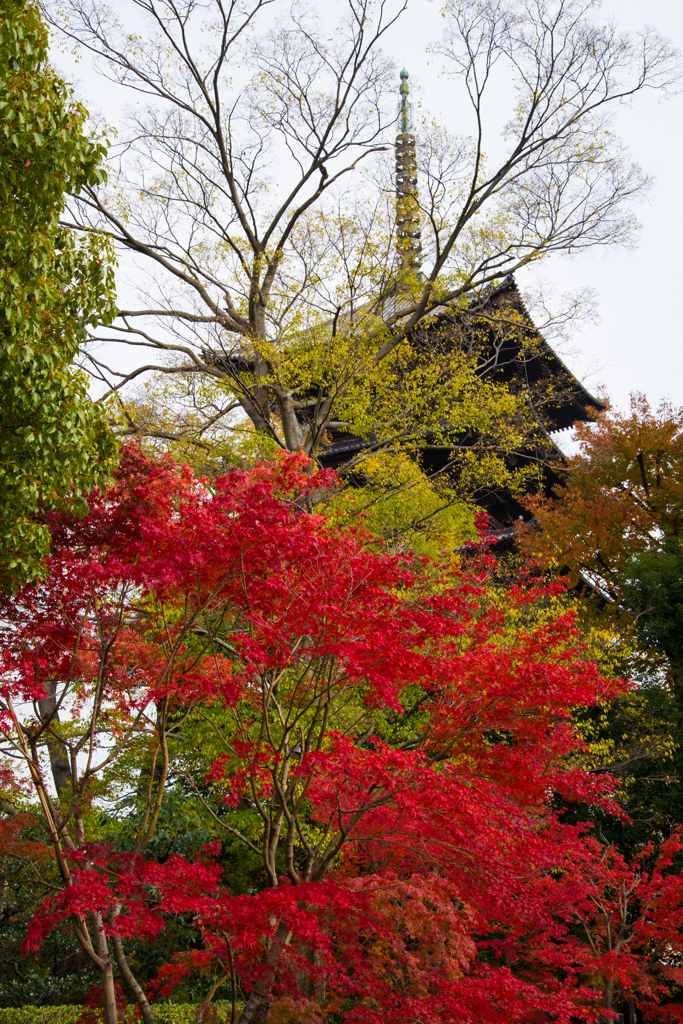 五重塔と紅葉