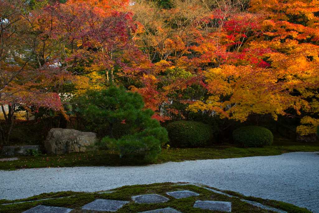 天授庵の東庭