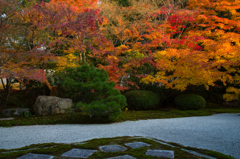 天授庵の東庭