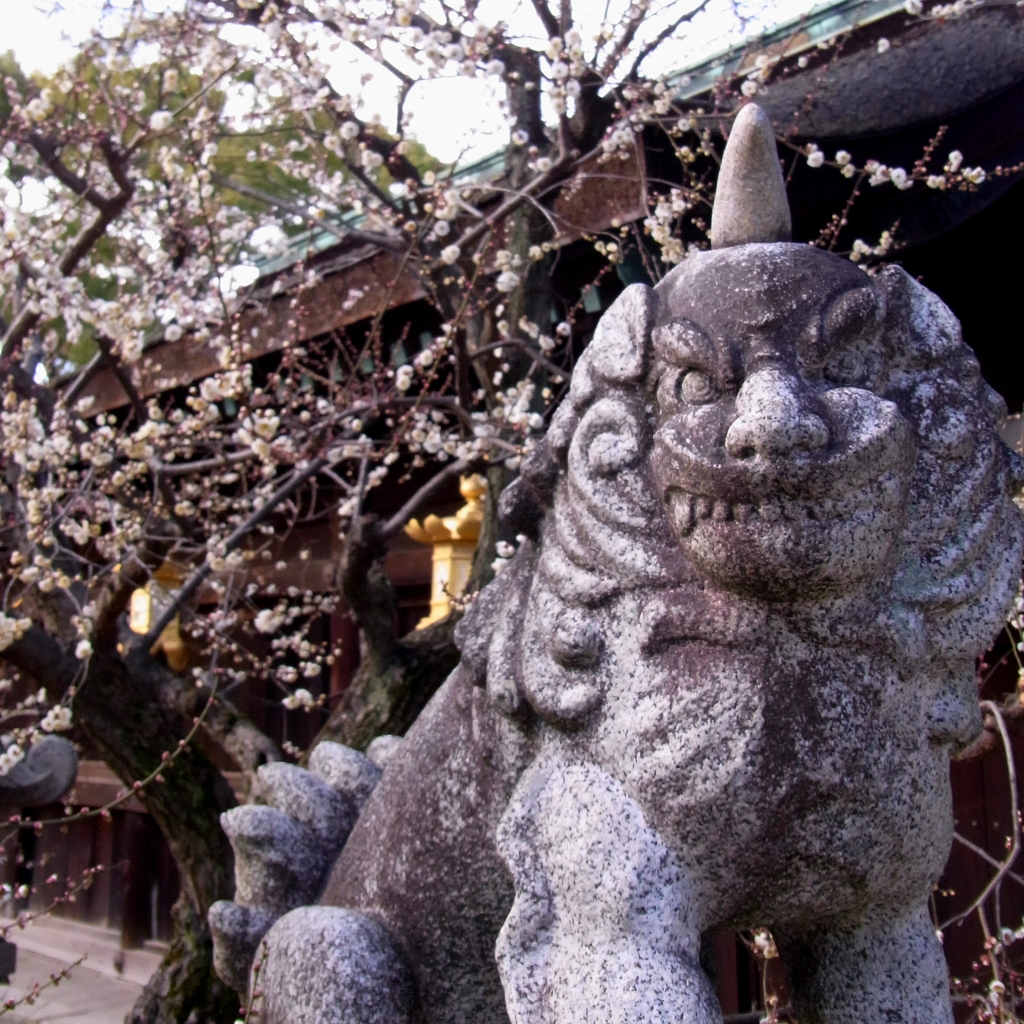 京都　北野天満宮