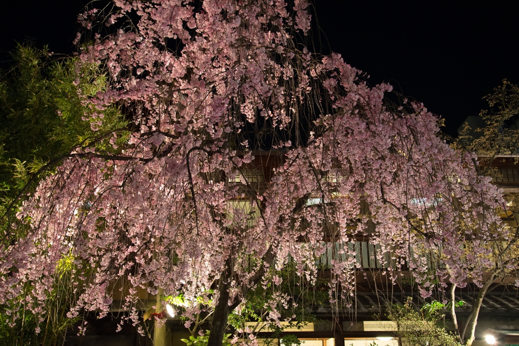 写真人気スポット