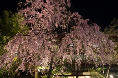 写真人気スポット