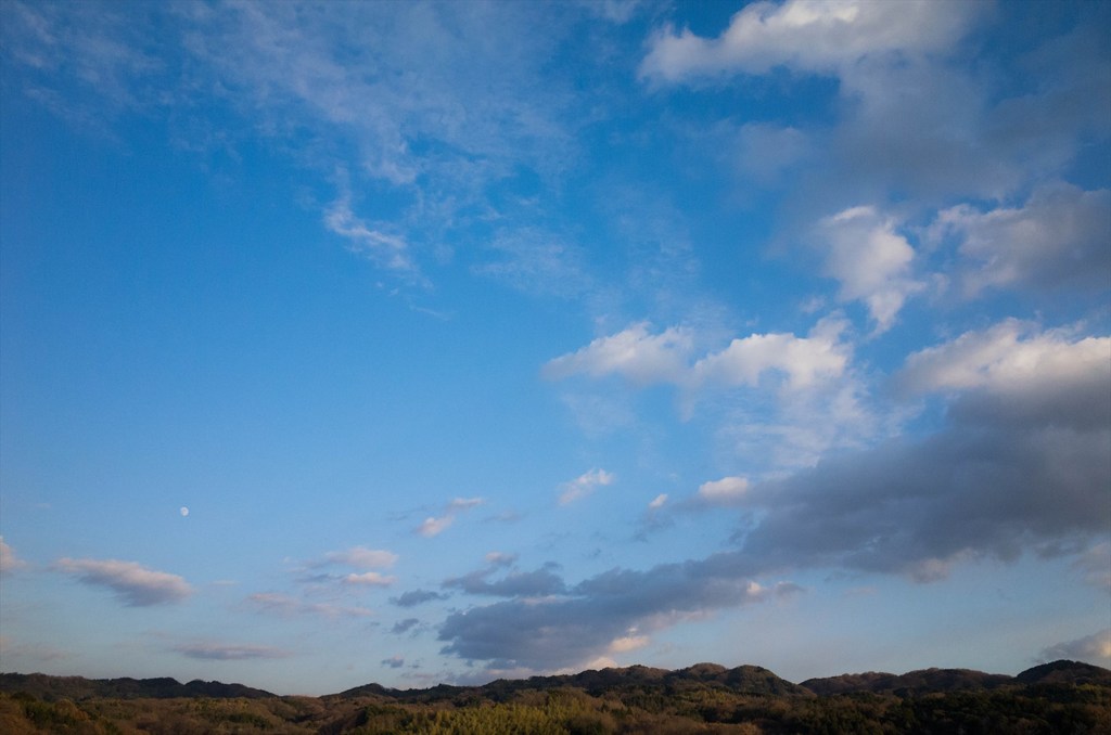冬の空