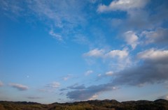 冬の空
