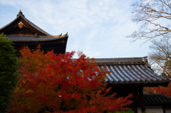 夕暮れ、南禅寺三門を見上げて