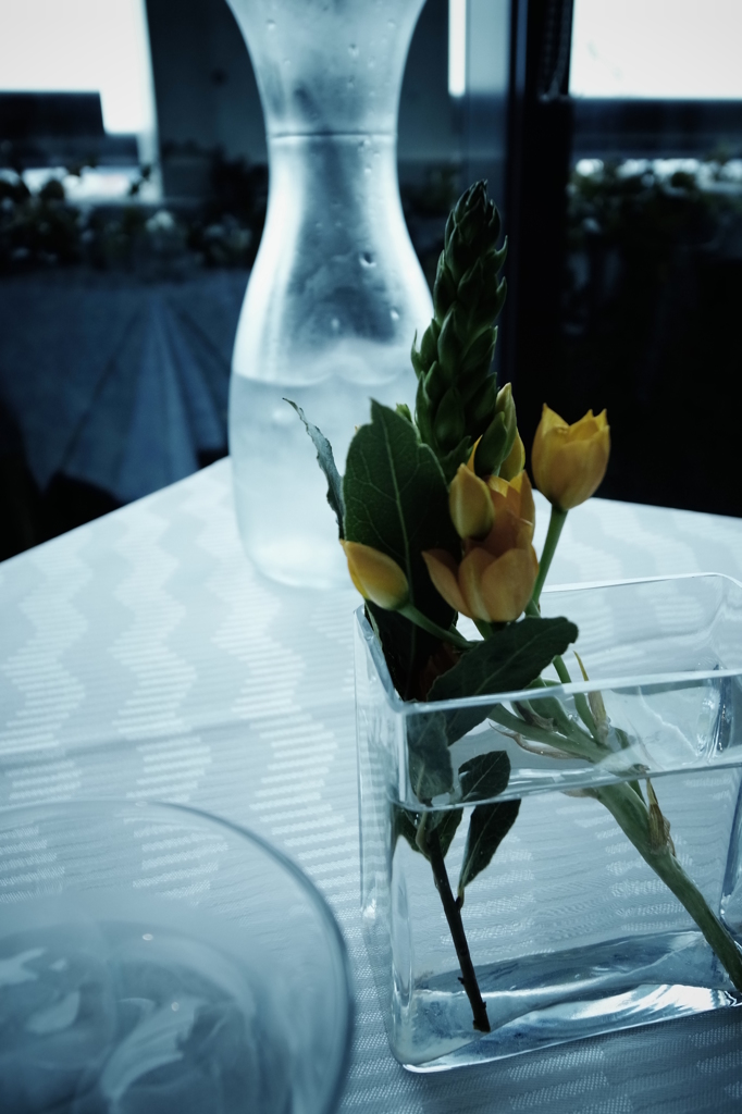 きままにテーブルフォト２