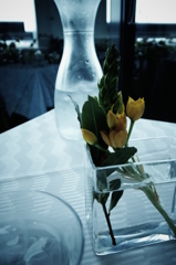 きままにテーブルフォト２