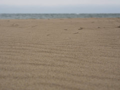 砂浜のしわ