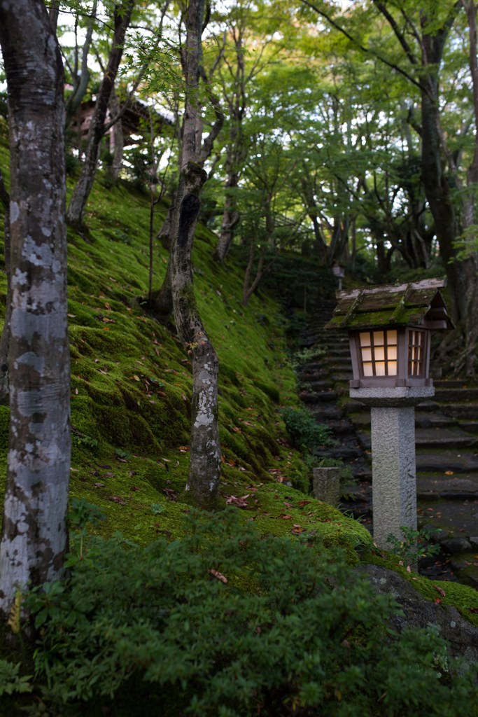 常寂光寺の坂