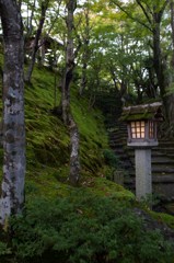 常寂光寺の坂