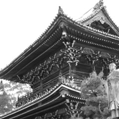 嵐山清涼寺