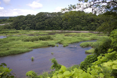 川渡風景_川